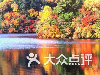 小鸡要回家