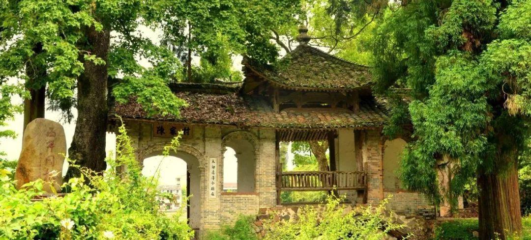 孤岛先锋